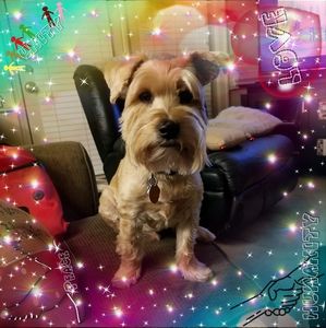 Meet your Posher, Debra